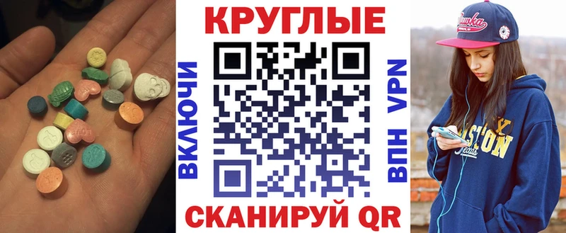 ЭКСТАЗИ бентли  Купить где  Кедровый 