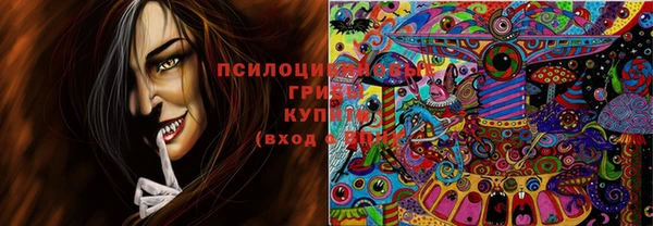 тгк Вязники