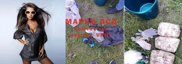 соль ск Вяземский