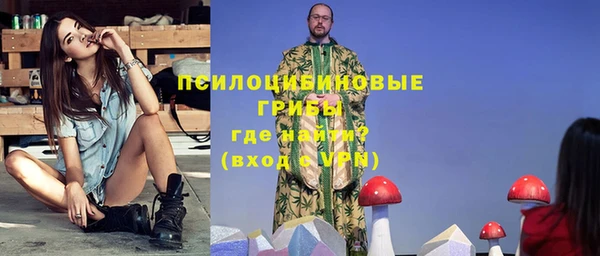 apvp Вязьма