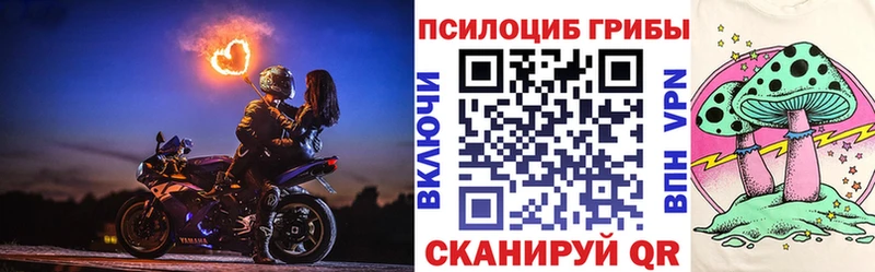 Псилоцибиновые грибы Psilocybine cubensis  Купить  Кедровый 
