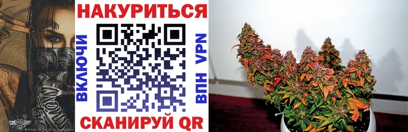 Бошки Шишки планчик  Купить  Кедровый 
